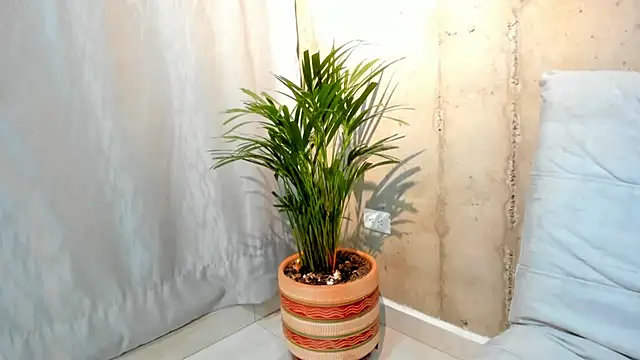 Alan greek 1 online show from January 2025 01:33:01 AM