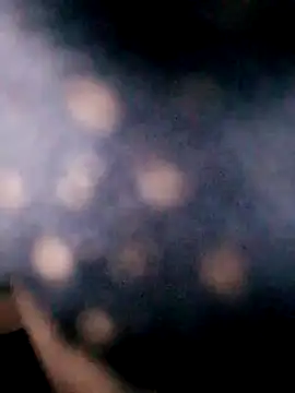 Snapshot of Hotpussy3ox chatting on September 2025 08:05:01 AM Hotpussy3ox online show from September 2025 08:05:01 AM