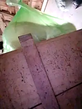 Snapshot of Hotpussy3ox chatting on December 2025 03:13:02 AM Hotpussy3ox online show from December 2025 03:13:02 AM