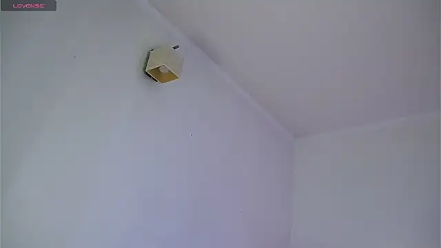 dustyn fox online show from March 2025 07:09:02 PM