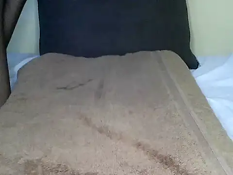 Snapshot of adhisjojo chatting on November 2025 05:17:01 PM adhisjojo online show from November 2025 05:17:01 PM