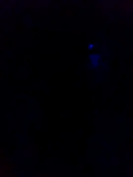 Snapshot of dotado20robson chatting on February 2026 04:41:01 AM dotado20robson online show from February 2026 04:41:01 AM