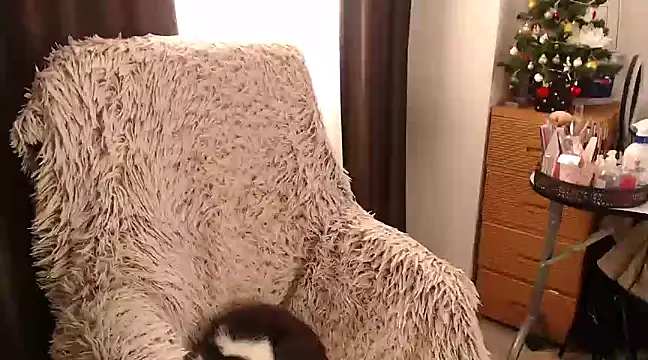 Snapshot of Goddessmxx chatting on December 2024 11:55:02 AM Goddessmxx online show from December 2024 11:55:02 AM