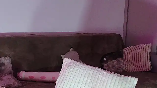 Snapshot of Eva_Millar chatting on February 2026 08:26:01 AM Eva Millar online show from February 2026 08:26:01 AM