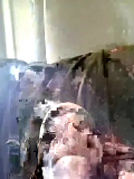 Snapshot of Pineapple04 chatting on March 2026 06:19:01 AM Pineapple04 online show from March 2026 06:19:01 AM