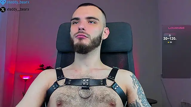 xteddy bear online show from January 2025 09:24:01 AM