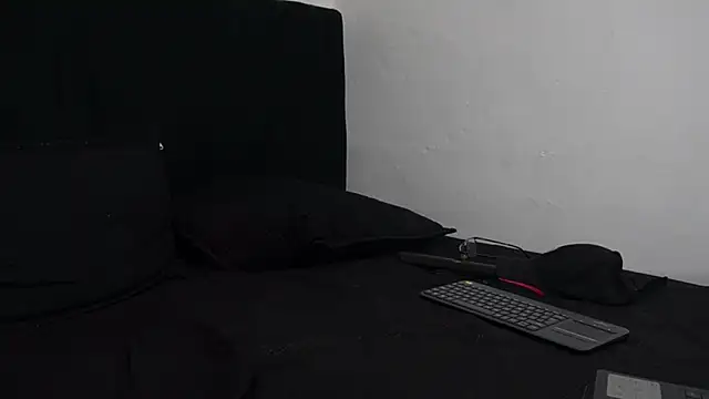 Snapshot of Hendry_ chatting on February 2025 05:19:01 AM Hendry online show from February 2025 05:19:01 AM