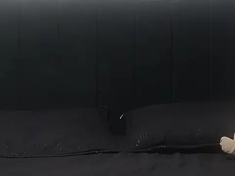 Snapshot of Hendry_ chatting on February 2025 03:20:01 AM Hendry online show from February 2025 03:20:01 AM