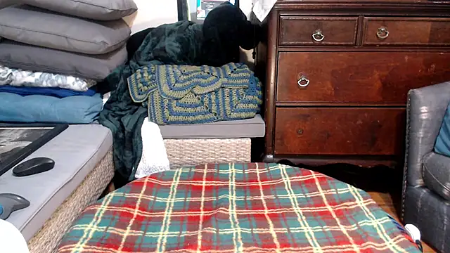 ladyscarlotta online show from February 2025 04:04:01 AM