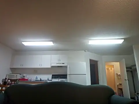 erinSmiles online show from February 2026 12:48:02 PM