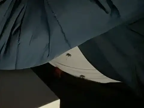 Snapshot of tomazu11 chatting on October 2025 06:30:01 AM tomazu11 online show from October 2025 06:30:01 AM