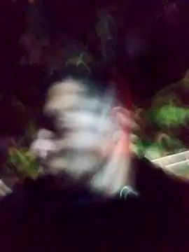 Snapshot of mis312 chatting on March 2025 01:45:01 AM mis312 online show from March 2025 01:45:01 AM