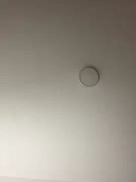 Freya Artemisa online show from March 2025 08:40:01 AM