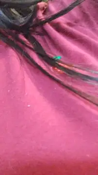 ailyn miranda online show from November 2025 07:50:02 PM