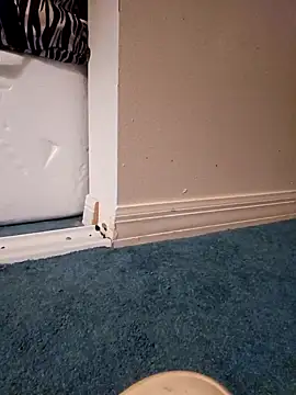 Snapshot of jorwee chatting on January 2025 08:17:02 PM jorwee online show from January 2025 08:17:02 PM