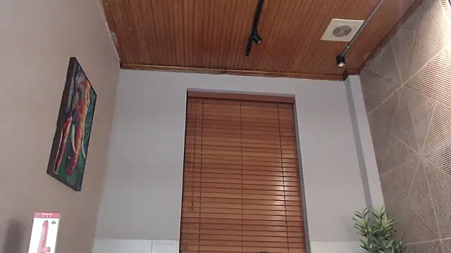 Snapshot of Ian_Daviz chatting on February 2025 01:57:02 AM Ian Daviz online show from February 2025 01:57:02 AM