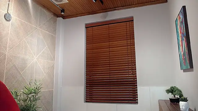 Snapshot of Ian_Daviz chatting on March 2025 01:32:01 AM Ian Daviz online show from March 2025 01:32:01 AM