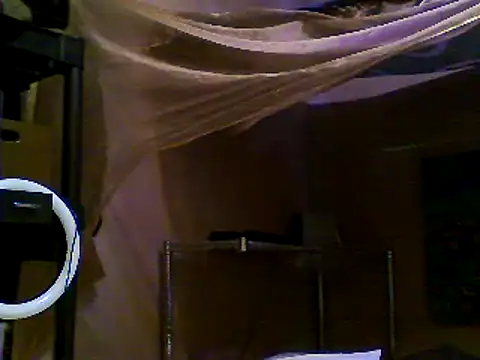 JdLove1 online show from December 2024 07:40:01 PM