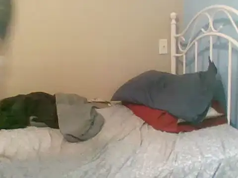 Snapshot of SmokingSloth chatting on March 2025 05:06:02 PM SmokingSloth online show from March 2025 05:06:02 PM