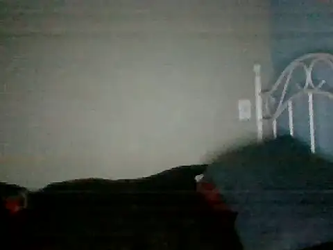 Snapshot of SmokingSloth chatting on March 2025 08:21:02 AM SmokingSloth online show from March 2025 08:21:02 AM