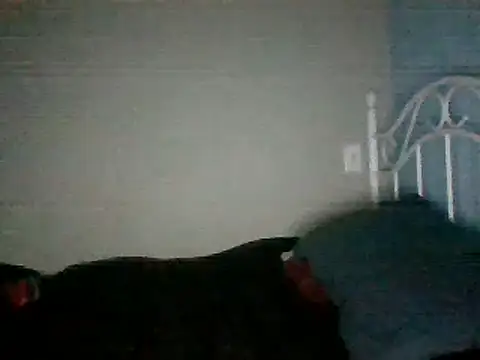 Snapshot of SmokingSloth chatting on March 2025 11:27:02 AM SmokingSloth online show from March 2025 11:27:02 AM