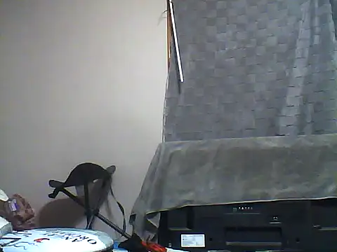 Snapshot of SmokingSloth chatting on December 2025 12:25:02 PM SmokingSloth online show from December 2025 12:25:02 PM