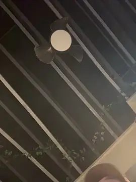 Snapshot of SmokingSloth chatting on December 2025 02:33:01 PM SmokingSloth online show from December 2025 02:33:01 PM