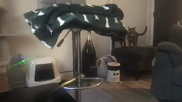 SpunCandy online show from March 2026 08:25:01 PM