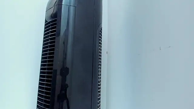 Kenbils online show from January 2025 06:43:02 PM