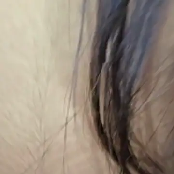 Snapshot of Liyana_Babe chatting on November 2025 04:12:02 AM Liyana Babe online show from November 2025 04:12:02 AM