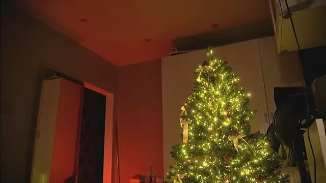 Arianna Richi online show from December 2024 08:54:02 AM