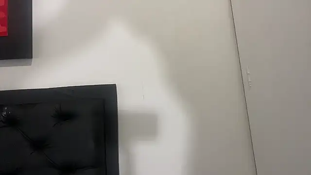 Snapshot of BBCGODIAM9 chatting on January 2025 11:49:02 AM BBCGODIAM9 online show from January 2025 11:49:02 AM