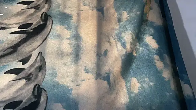 Snapshot of BBCGODIAM9 chatting on March 2025 12:33:02 PM BBCGODIAM9 online show from March 2025 12:33:02 PM