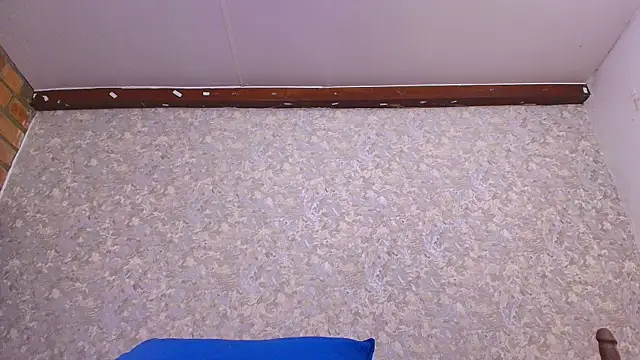 nicol f online show from January 2025 07:21:01 PM