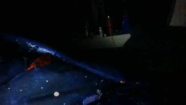 toast843 online show from February 2025 06:22:01 AM