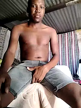 king shrek online show from February 2025 07:15:02 AM