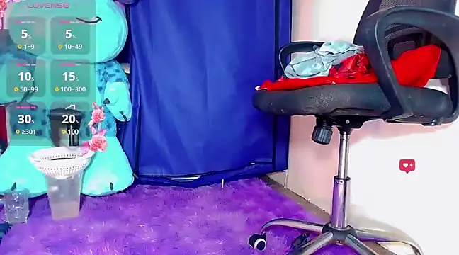 nicol gill  online show from January 2025 11:38:02 AM