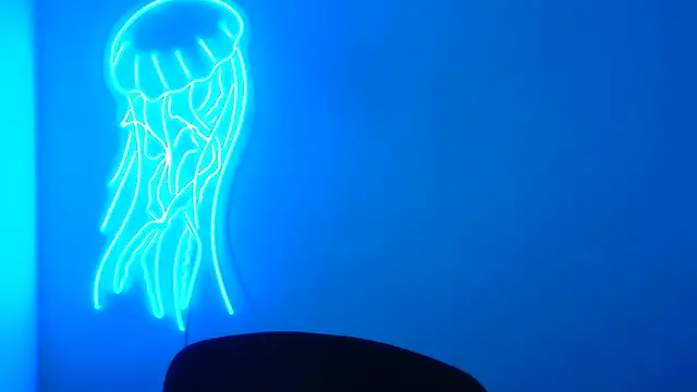 Snapshot of Fantasy_July chatting on March 2025 09:33:02 AM Fantasy July online show from March 2025 09:33:02 AM