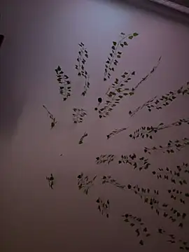 Snapshot of -Sexy_Barbie- chatting on February 2025 10:39:02 AM -Sexy Barbie- online show from February 2025 10:39:02 AM