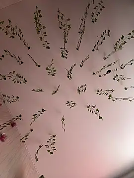 Snapshot of -Sexy_Barbie- chatting on February 2025 03:31:02 AM -Sexy Barbie- online show from February 2025 03:31:02 AM