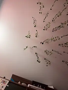 Snapshot of -Sexy_Barbie- chatting on February 2025 03:42:02 AM -Sexy Barbie- online show from February 2025 03:42:02 AM