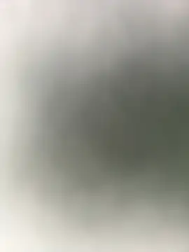 Snapshot of mrwright878787 chatting on January 2025 12:37:02 AM mrwright878787 online show from January 2025 12:37:02 AM