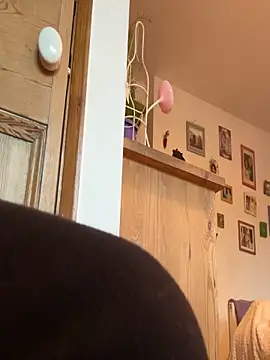 Snapshot of mrwright878787 chatting on November 2025 02:49:02 PM mrwright878787 online show from November 2025 02:49:02 PM