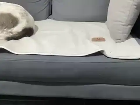 4small4inchlol online show from March 2025 11:25:01 PM