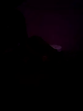 FeltedEuropium online show from December 2024 08:45:02 AM