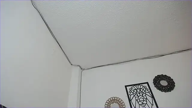 Snapshot of paytonbailey chatting on March 2025 05:03:02 PM paytonbailey online show from March 2025 05:03:02 PM