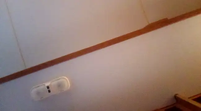 NikkiNFellyy online show from December 2024 10:51:01 PM