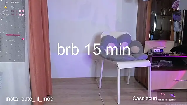 art phoenix online show from February 2025 08:07:02 PM