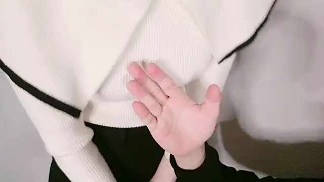 Snapshot of JP-MINT_oO_investigation_ chatting on February 2025 03:41:01 AM JP-MINT oO investigation online show from February 2025 03:41:01 AM