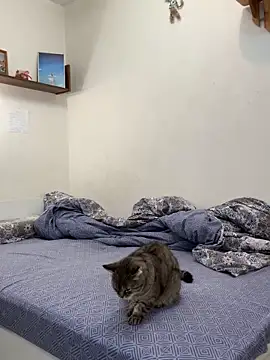 Snapshot of UmaTruewoman chatting on November 2025 03:12:01 AM UmaTruewoman online show from November 2025 03:12:01 AM